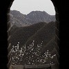 Great Wall Blossums